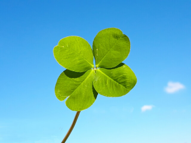 病歴就労状況等申立書は診断書の翻訳です