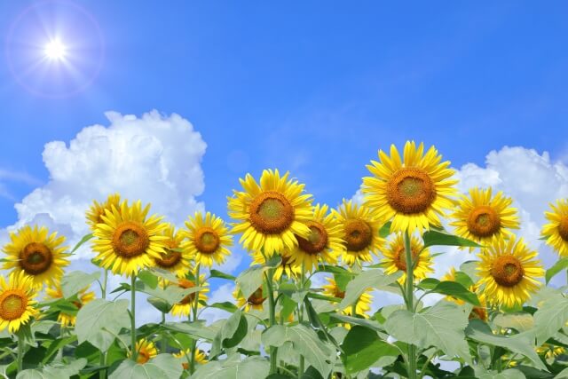 事後重症請求で2級が決定したケース