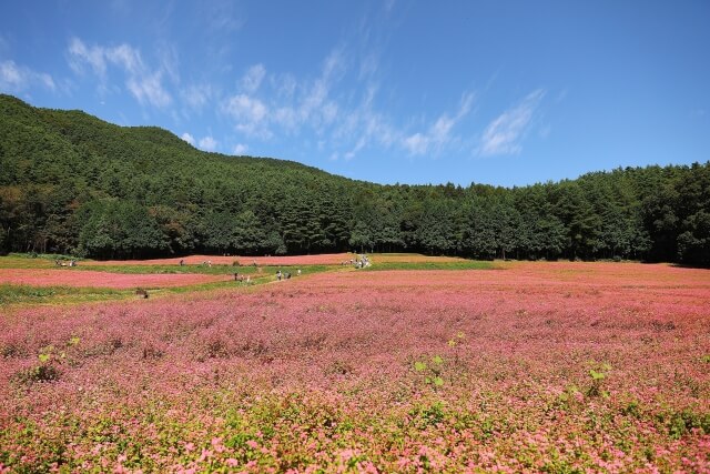 うつ病で認定日請求をして2級が決定