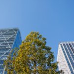 青空の下に立つ高層ビルと木々の風景