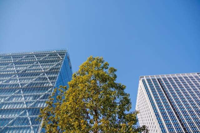 青空の下に立つ高層ビルと木々の風景